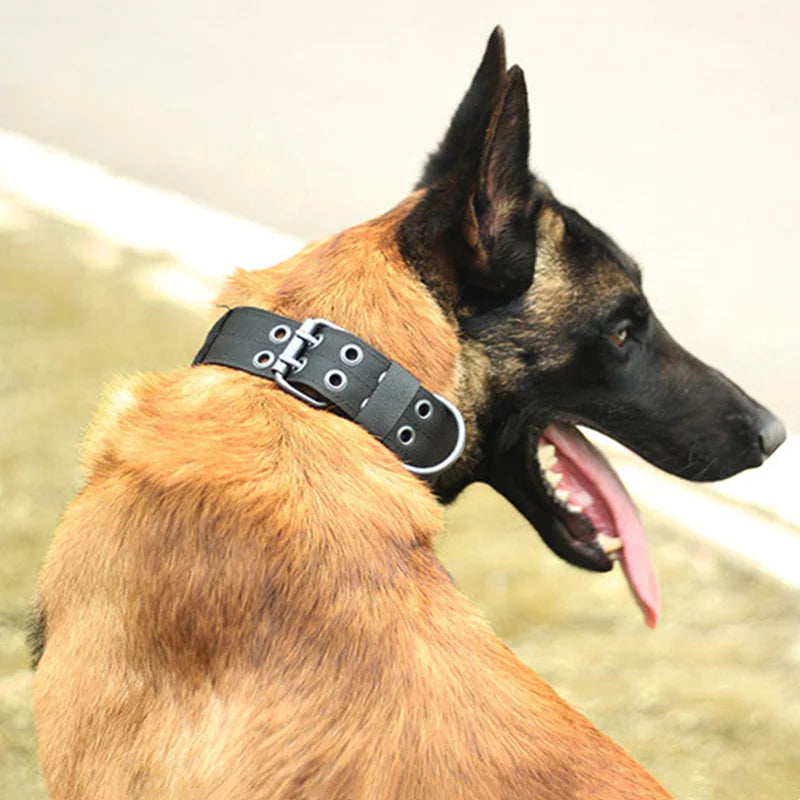 Tactical Dog Collar